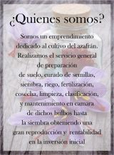 ver más