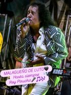 :: ver noticia ::